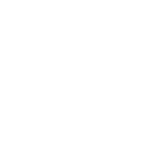 Route Icon