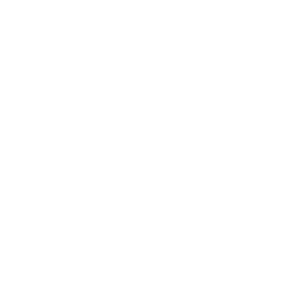 Connect Icon