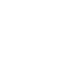 Star Customer Icon